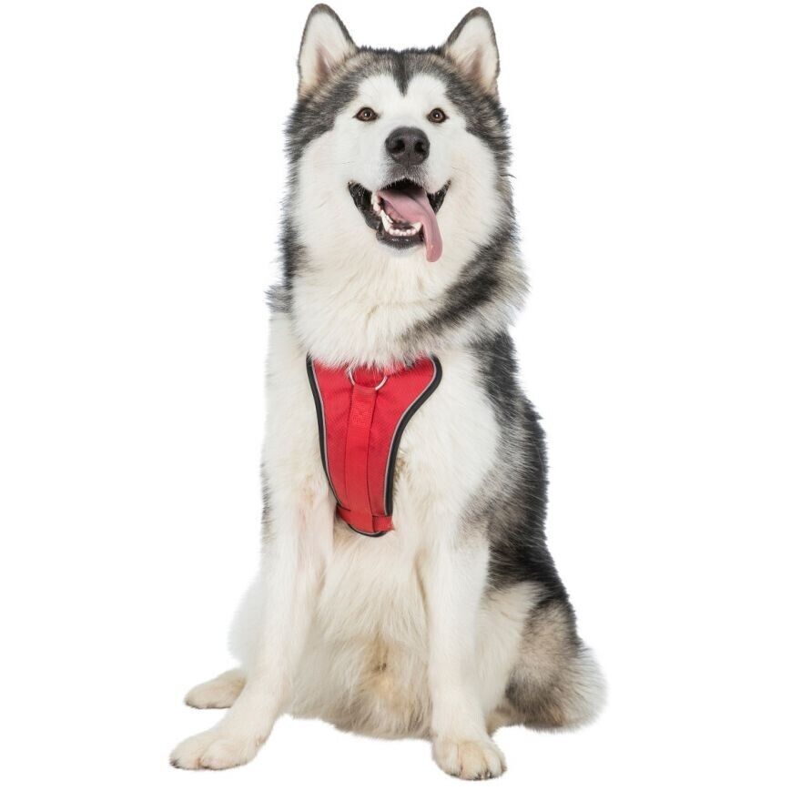 Trespaws (Trespass) Dog Harness Reflective Binding Side Release Buckles Tanked Small/Medium